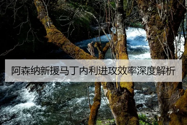 阿森纳新援马丁内利进攻效率深度解析
